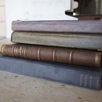 Grazia Deledda libri antiche edizioni