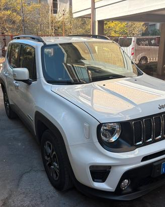 Renegade 1300 cc del 2018 con 140 cv