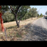 Santa Sofia d' epiro