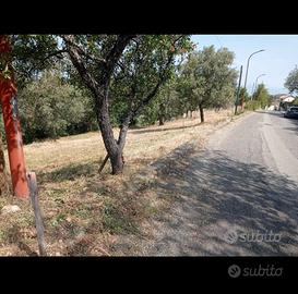 Santa Sofia d' epiro