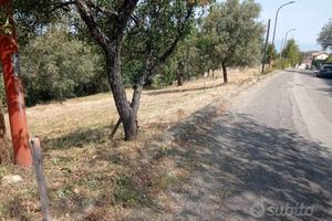 Santa Sofia d' epiro