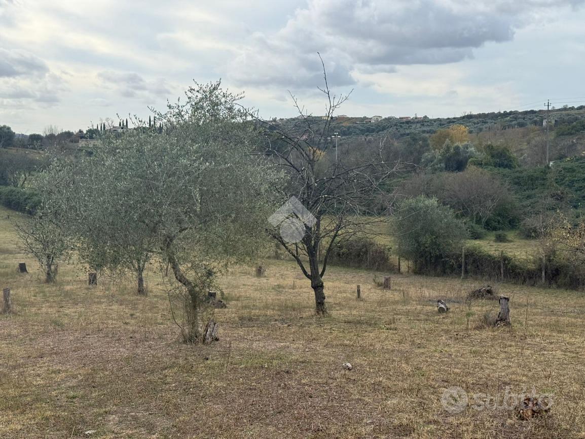 TER. AGRICOLO A SANT'ANGELO ROMANO - Altro