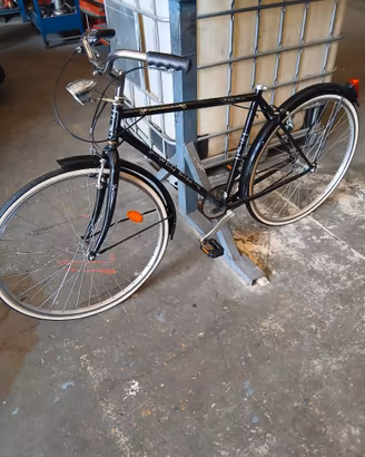 bicicletta uomo