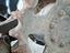 Immagine 4