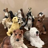 Collezione statue cani