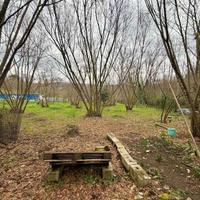 Terreno agricolo e pianeggiante