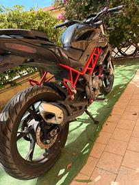 benelli bn 125 2021