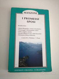 I PROMESSI SPOSI (RIASSUNTO) 