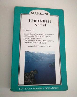 I PROMESSI SPOSI (RIASSUNTO) 