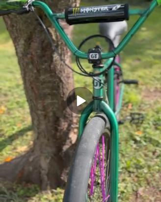 WHEELIE BIKE 29 GT BIKE