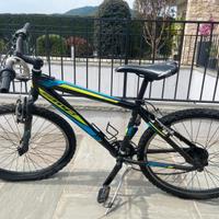 Bicicletta montainbike