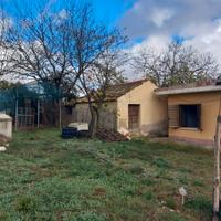 Villetta con terreni e uliveto