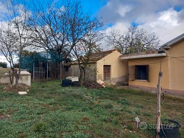 Villetta con terreni e uliveto