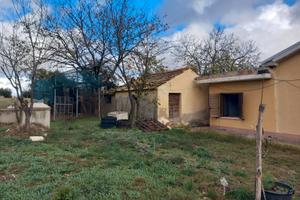 Villetta con terreni e uliveto