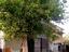 Immagine 27
