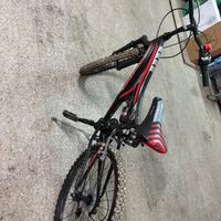 Bicicletta per ragazzo
