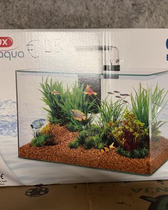 Acquario