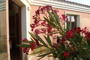 Splendida chicca tra Palau e Santa Teresa Gallura