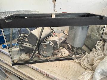 Acquario 180 LT acqua dolce con accessori 