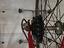 Immagine 3