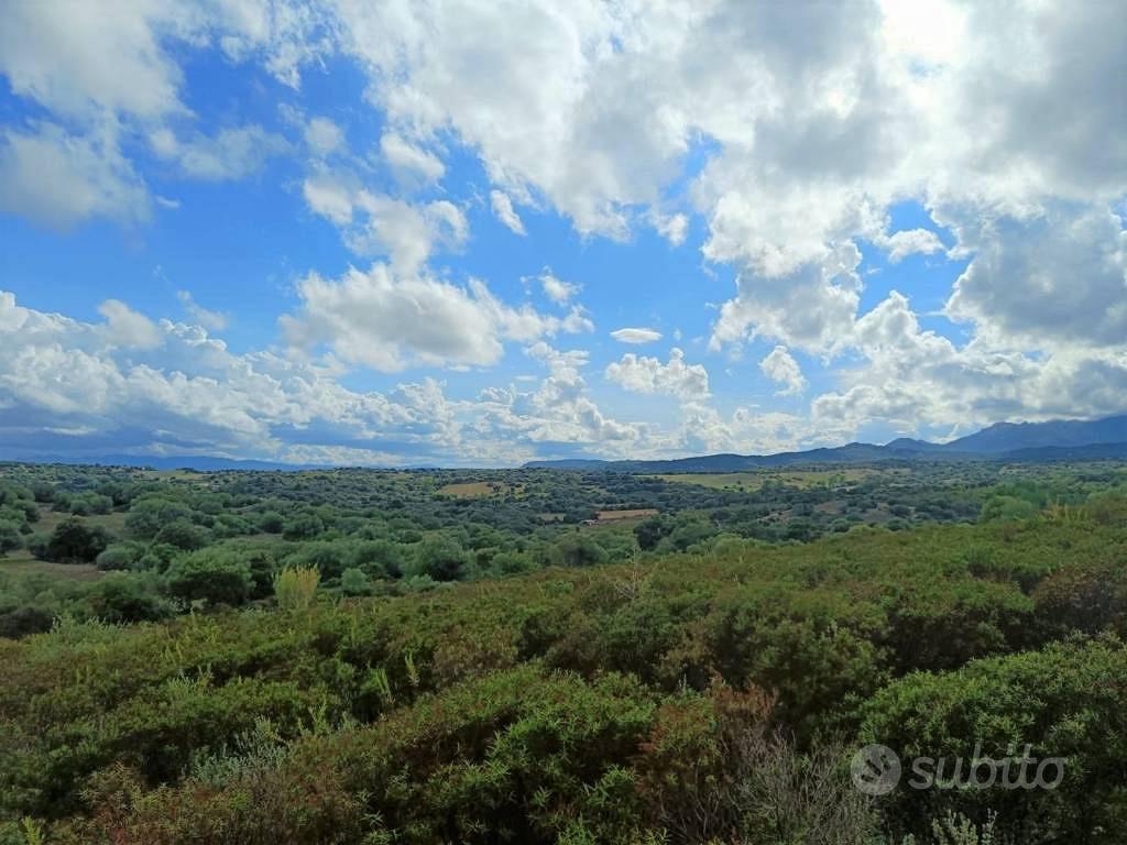 Terreno di 65000 m² a Telti - Vista 4