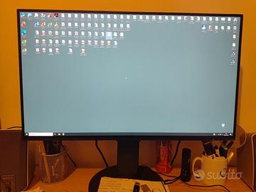 Monitor 27 Pollici EIZO 4K