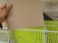 Immagine 5