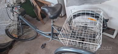 bicicletta 3 ruote disabili