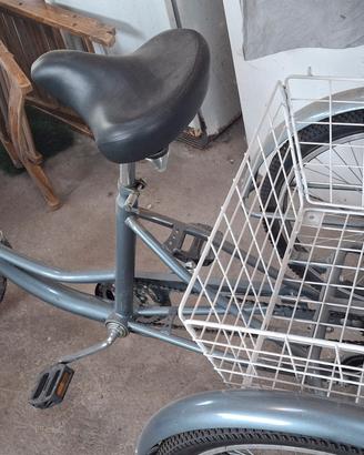 bicicletta 3 ruote disabili
