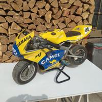 Minimoto 50 cc