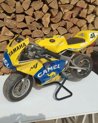 Minimoto 50 cc