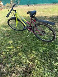 Mountain Bike