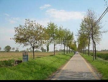 Appartamento arredato