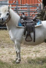 SELLA WESTERN per bambini