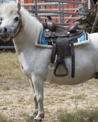 SELLA WESTERN per bambini