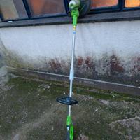 tagliabordi greenworks