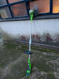 tagliabordi greenworks