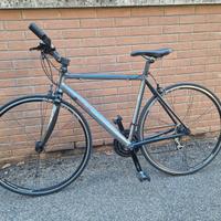 BIANCHI VIA NIRONE 7 ANNIVERSARIO
