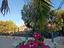 Immagine 23