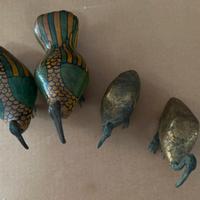 Ibis sacro egiziano- collezione