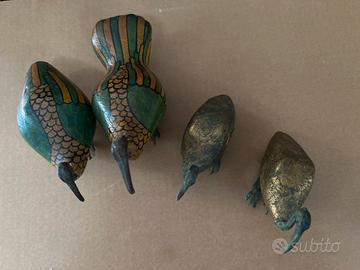 Ibis sacro egiziano- collezione