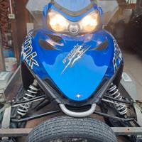 Motoslitta Polaris RMK 600