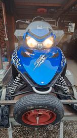 Motoslitta Polaris RMK 600