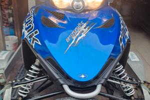 Motoslitta Polaris RMK 600