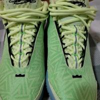 Nike Lebron