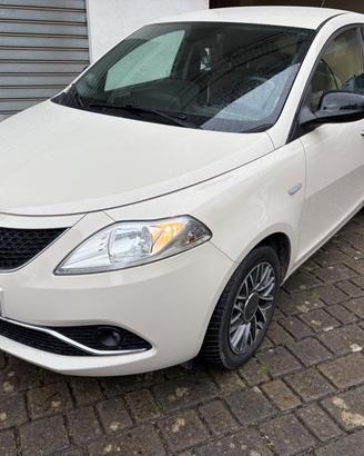 Lancia Ypsilon 1.3 MJT 16V 95 CV 5 porte S&S Plati