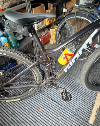 Mtb giant