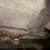 Tartarughiera o terrario