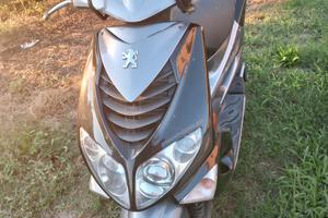 Schutter Peugeot 