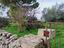 Immagine 10
